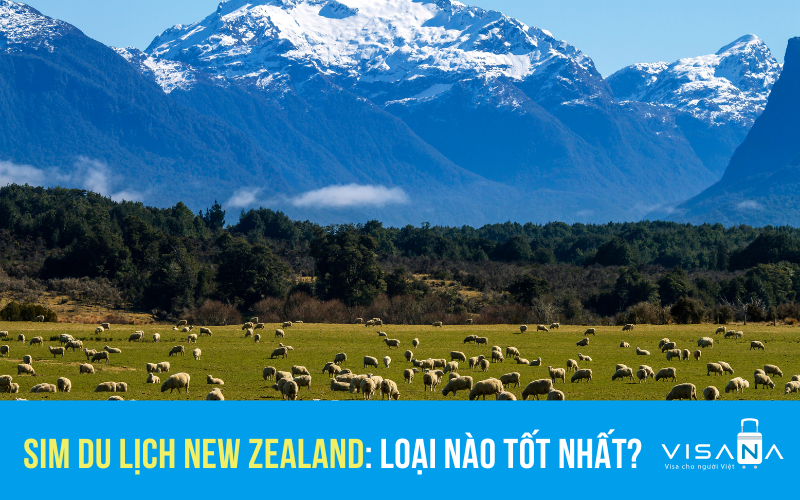 Mua sim New Zealand ở đâu