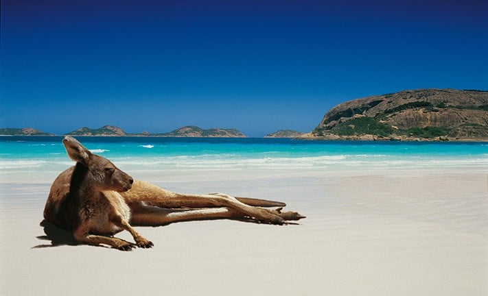 Du lịch Úc mùa nào đẹp nhất? - VISANA