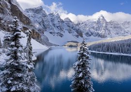 phi dich vu xin visa canada l 224 m visa du lịch canada to 224 n quốc ho 224 n ph 237 100 nếu phi dich vu xin visa canada l 224 m visa du lịch canada to 224 n quốc ho 224 n ph 237 100 nếu