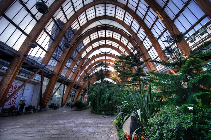 du-lịch-anh-quốc-Sheffield-Winter-Gardens-Millennium-Gallery-Vitral-Rooflights-Internal-Towards-St-Pauls-Tower-and-the-Peace-Gardens-711