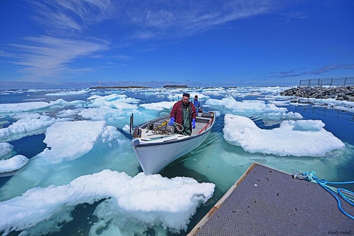 du-lịch-canada-Fishing-Boat-Ice-dave-BartlettLAnse-aux-Meadows-711