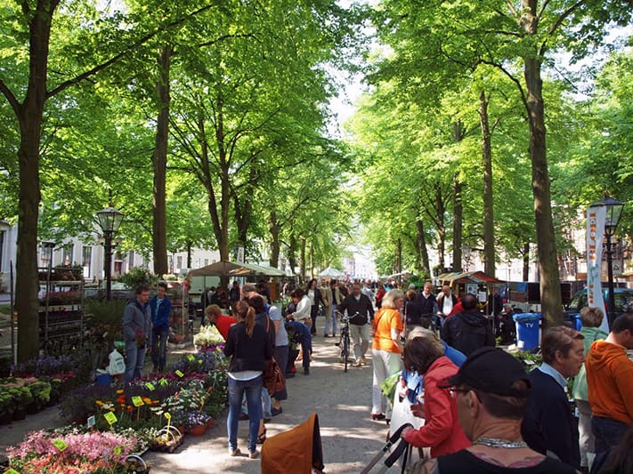 kinh-nghiệm-du-lịch-hà-lan-Hague-711