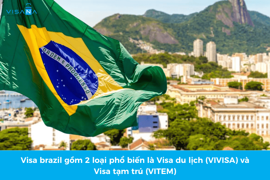 phân loại visa brazil visana