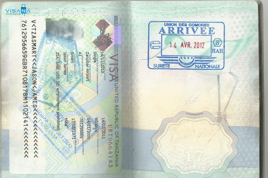 Phân  loại visa Tanzania visana