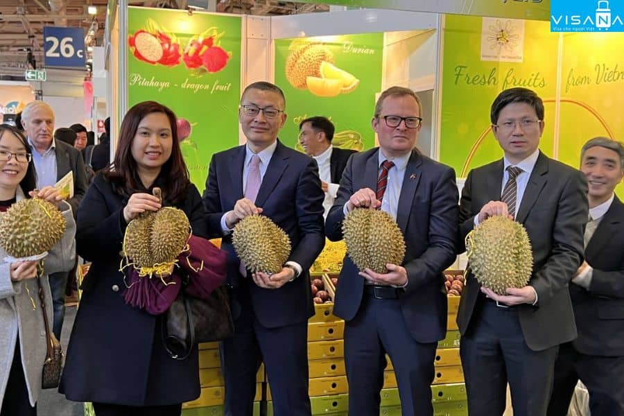 Lý do doanh nghiệp Việt Nam nên tham gia Hội chợ Fruit Logistica visana