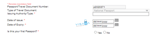 điền đơn xin visa ireland visana8