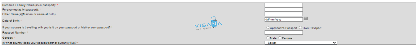 điền đơn xin visa ireland visana6