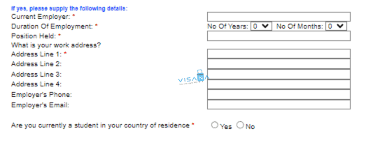 điền đơn xin visa ireland visana 9