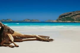 Du lịch Úc mùa nào đẹp nhất?