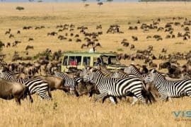5 lầm tưởng của du khách về du lịch Châu Phi