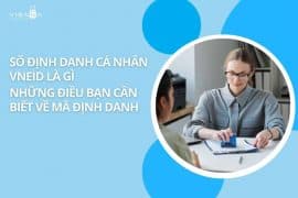 Số định danh cá nhân vneid là gì và những điều bạn cần biết về mã định danh