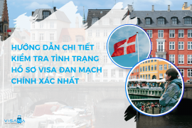 Hướng dẫn chi tiết kiểm tra tình trạng hồ sơ visa Đan Mạch chính xác nhất