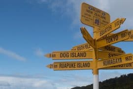 Kinh nghiệm du lịch và thủ tục xin visa New Zealand