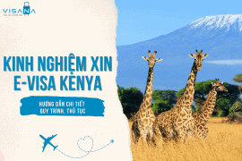Kinh nghiệm xin e-visa Kenya chi tiết và mới nhất