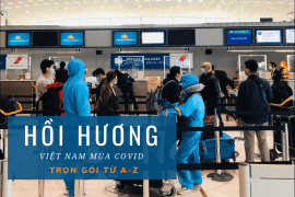 Hướng dẫn cách làm thủ tục hồi hương về Việt Nam tránh dịch Covid mới nhất
