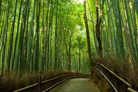 8 địa điểm du lịch Nhật Bản nên đi khi bước sang tuổi 30